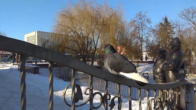 Голуби хороший символ смотреть онлайн