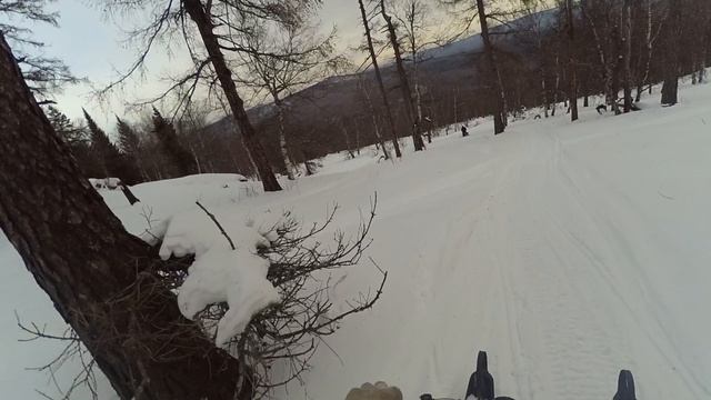 Снегоход "Охотник" , гора Туранташ 05 02 2022 смотреть онлайн