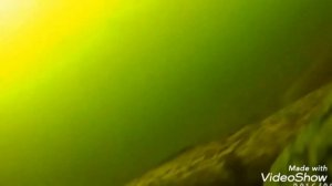 Вот это МОНСТРЫ! Бешеный клёв огромных налимов! Сколько их там....