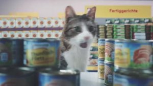 Коты захватили магазин!
