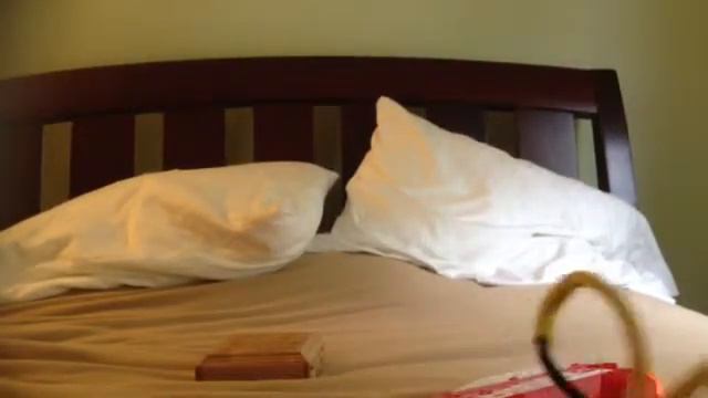 Обзор спортивной рогатки Powerline смотреть онлайн