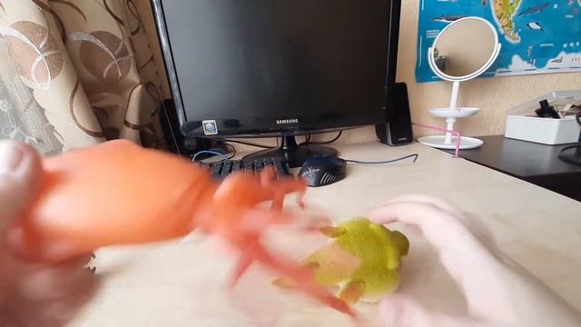 Морские обитатели