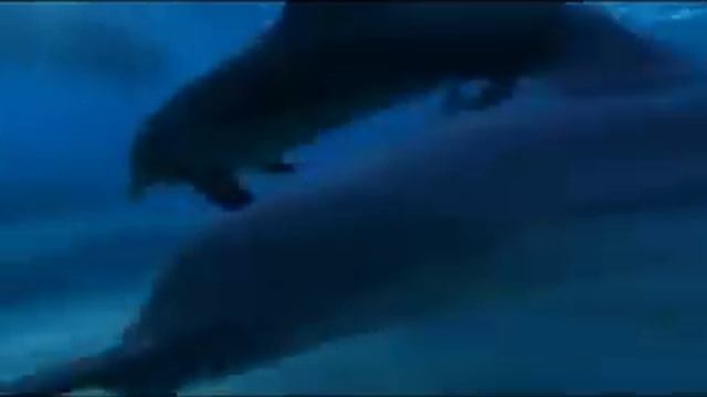 Сонастройка Тонких Тел, гармонизация, очищение ауры смотреть онлайн