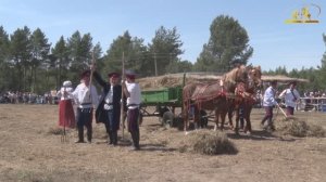 Конь казаку всего дороже. 2018. Часть 1