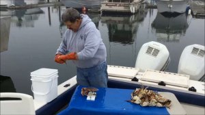 Crack'n Crab Cleaner