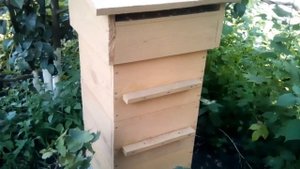 Выкучивание пчёл / пчелиное выкучивание. Понятие, причины возникновения и способы устранения. Варрэ.