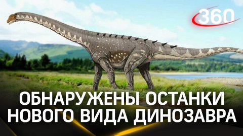 Обнаружен новый вид динозавров, сообщают аргентинские ученые