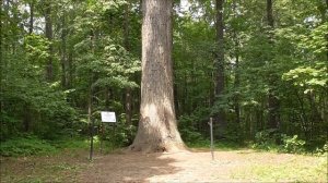 Видео сюжет о национальном парке  Марий Чодра