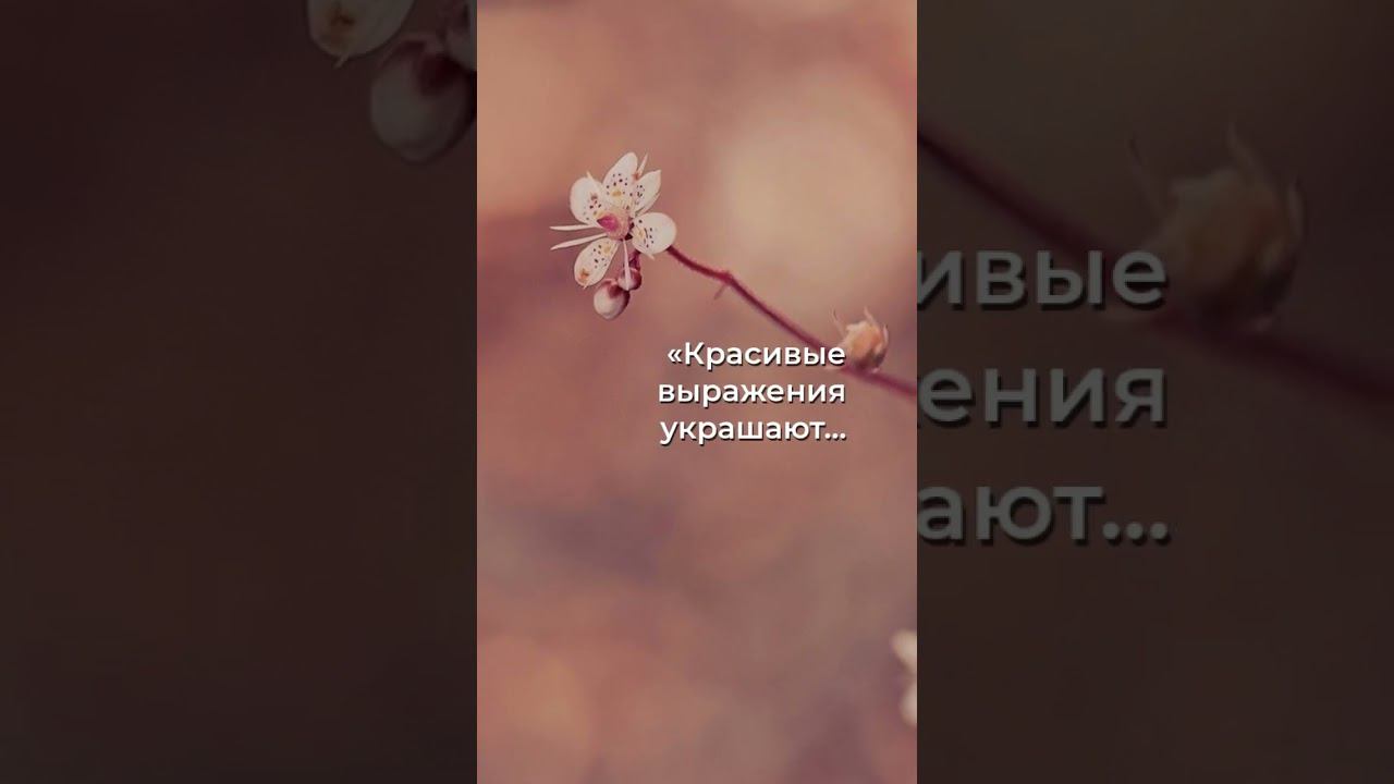 Волшебство слов: Красота мысли сохраняется