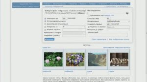 Как закинуть скрины на форум Majestic.