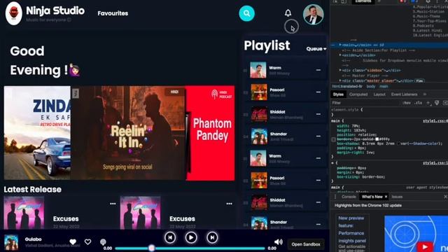 Music Player Project - HTML & CSS