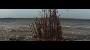 Самара Загородный парк. Волга. Весна через Анаморфот 1,55х #anamorphiclens   #anamorphic #mcpro24fps