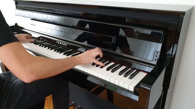 Ludwig van Beethoven: "Marcia alla Turca" смотреть онлайн