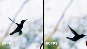 Kandao QooCam EGO | Viewer-Integrated 3D Camera