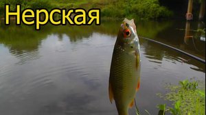 Рыбалка на реке Нерской, Конобеево, Подмосковье. Ловля на поплавочную удочку. Fishing