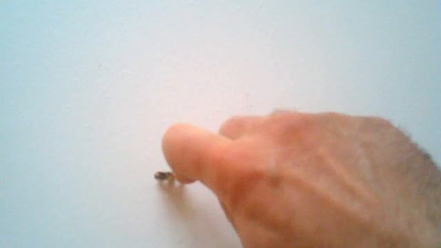 Самовыравнивающаяся смесь: царапается поверхность смотреть онлайн