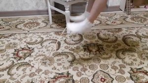 Я научу вас прыгать в резиночку?