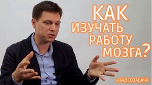 Как работает наш мозг?