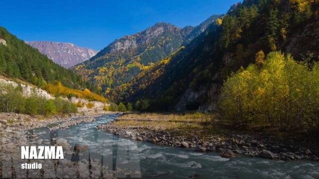 NAZMA Studio_ Ташаева Марьям_