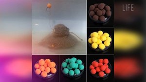 Как поймать крупного карпа?