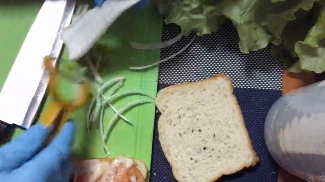 Сендвич. смотреть онлайн