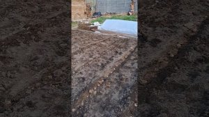 делайте как я если у вас плохая земля или не родится картошка .