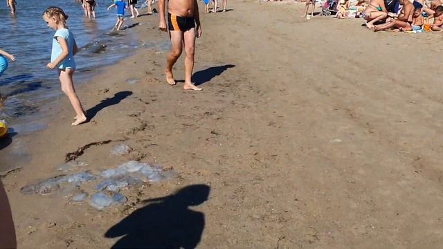 ЧИСТОЕ МОРЕ И МЕДУЗЫ🤞 #АНАПА #Центральныйпляж
