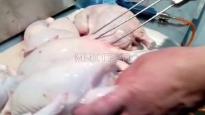 РУЧНЫЕ ИНЪЕКТОРЫ РАБОТА НА КУРИЦЕ!!!!