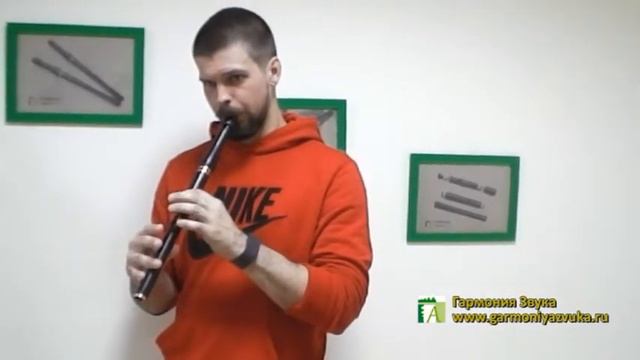 Антон Неледов играет мелодии на лоу-вистле