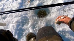 О Боже.., КАК ОНИ ЛОВЯТ РЫБУ! Рыбалка на Косынки-Раскладушки!