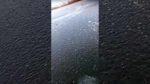 река Бузан. Рыбалка 2023 год