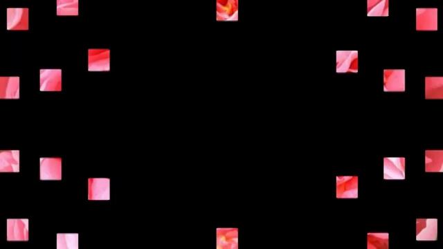 Галерея выпускников "Пион Корал Шарм" - 2 набор смотреть онлайн