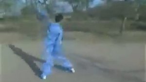 Wang Zhihai pigua. Пигуа цюань.