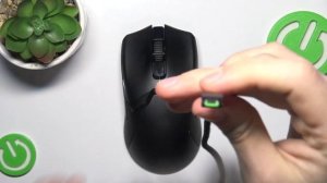 Razer Viper Ultimate | Как подключить мышку Razer Viper Ultimate с помощью кабеля