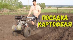 Посадка картофеля
