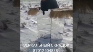 Зеркальный скрадок на гуся