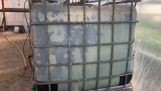 18.03.2021 -собрали 81 кг. Огурец Бьерн F1. 19.03.2021 выставляемся на рынке. смотреть онлайн