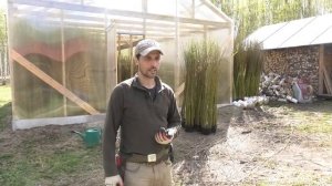 Успешный пример дела и заработка на земле - Сортовая ива и плетёные живые изделия / Илья Нестеренко