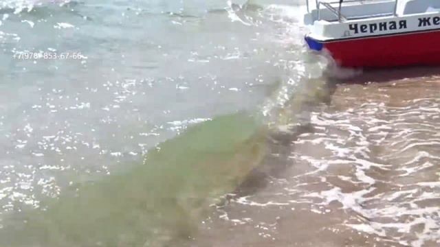 Четырёхкомнатный Эллинг в Феодосии на песчаном пляже, смотреть онлайн