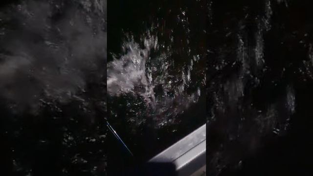 Рыбалка в Самаре. Отпускаем судака