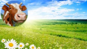 Кто пасется на лугу