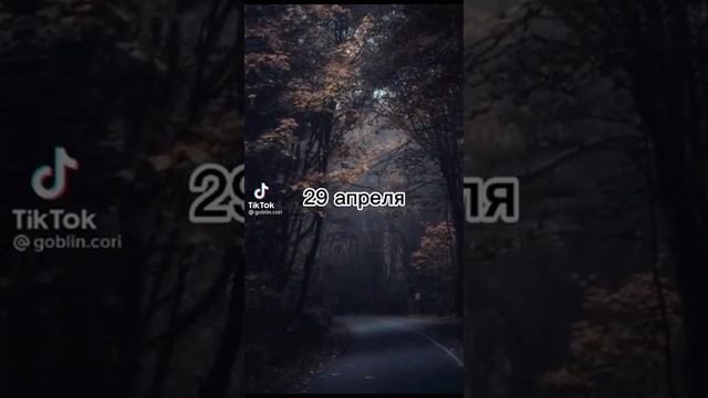 ??Всё для ведьмочек и травниц?? смотреть онлайн