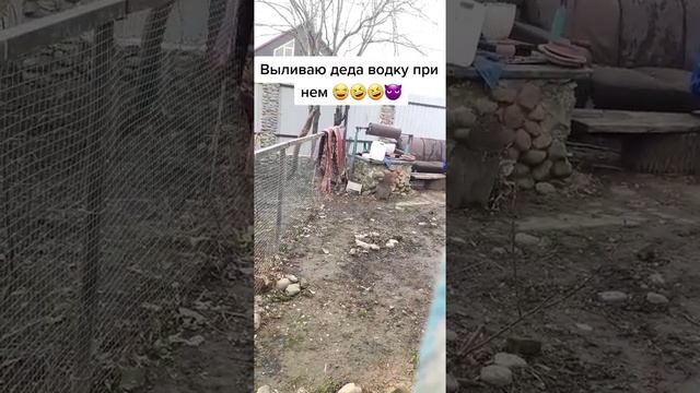 Вылил водку деда