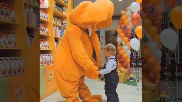 Оранжевый слон. Отзывы. смотреть онлайн