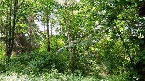 Национальный музей - усадьба Н.И. Пирогова в Виннице. Церковь-некрополь, усыпальница хирурга.