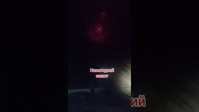 Дом 2 24.12 2023 ночной эфир