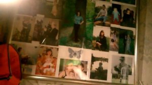 Самая простая подсветка для орхидей _ часть 1