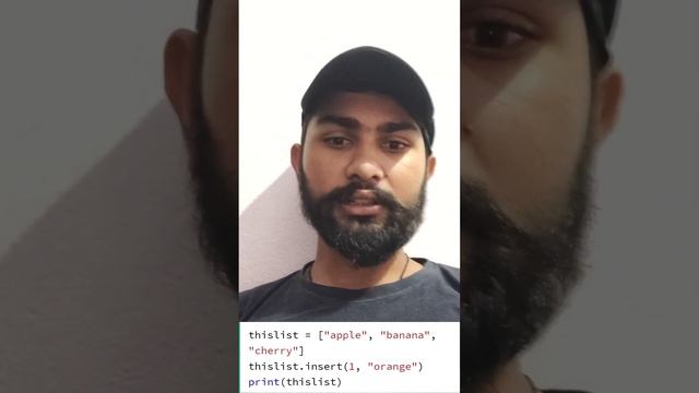 how too use insert function in python list #beginners #python