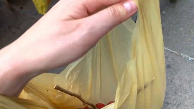 VLOG: Нью-Йорк. Практикую йогу, ем фрукты и веганские суши. смотреть онлайн