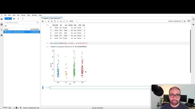 Seaborn Tutorial - Part 7: CATPLOT: Strip Plots смотреть онлайн